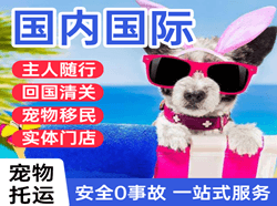 衡阳南岳机场物流国际宠物托运 【国